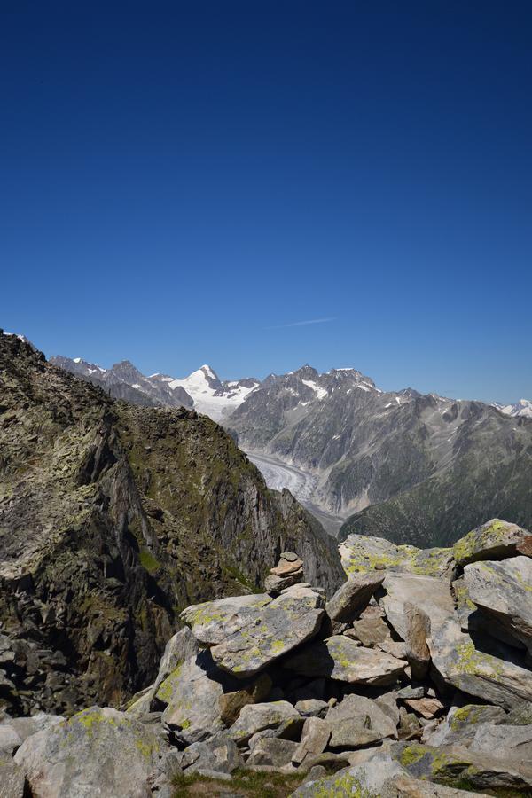 Appartmenthaus Bergfreund Fiesch Zewnętrze zdjęcie