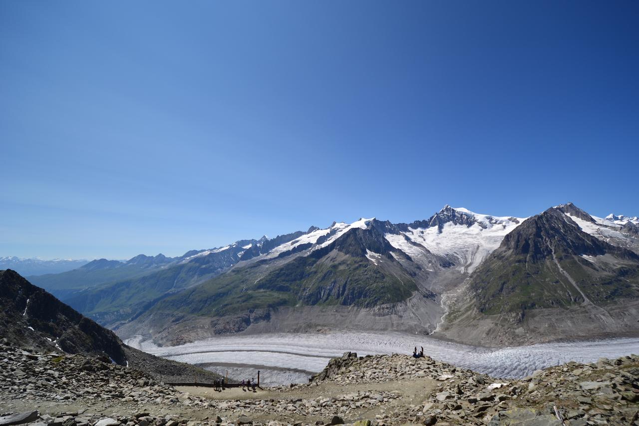 Appartmenthaus Bergfreund Fiesch Zewnętrze zdjęcie